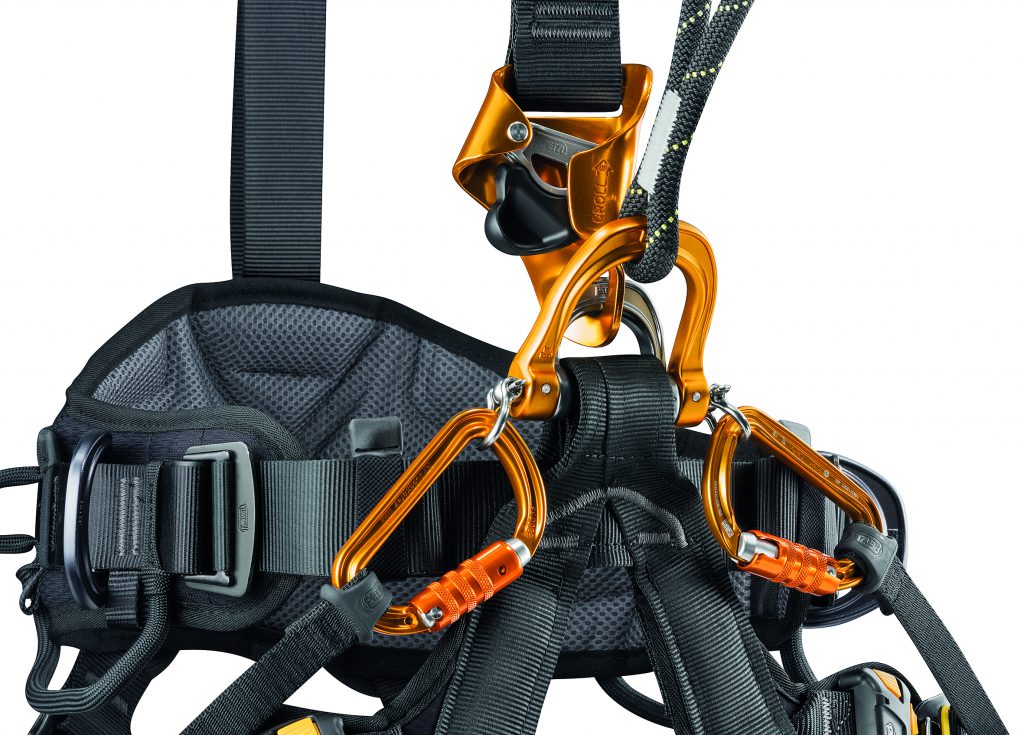 Petzl C083ba_astro_bod International